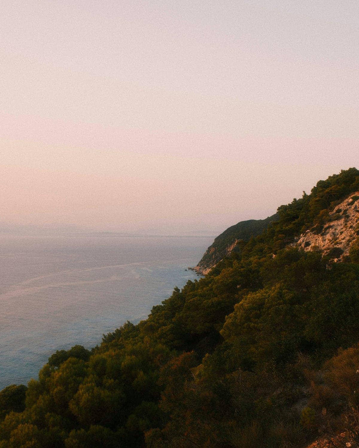 Encosta arborizada descendo até um mar calmo, sob a luz baixa do fim de tarde.